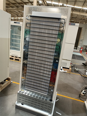 Los -25 grados ahorros de energía 278L castraron el congelador médico vertical de acero