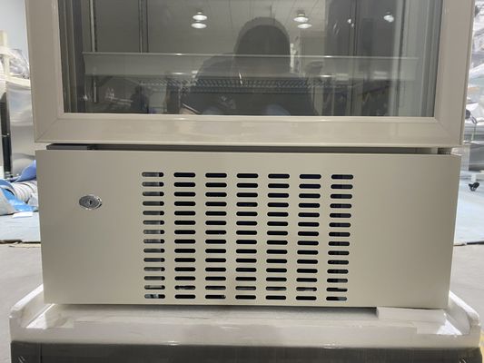 Refrigerador médico de la farmacia del control 316L del microprocesador con la sola puerta de cristal Frost auto de alta calidad