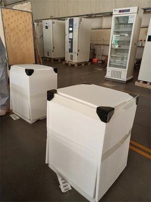 2-8 grados 60L Mini Farmacia Pequeña Vaccinas Médicas Refrigerador Frío Con Puerta de Vidrio