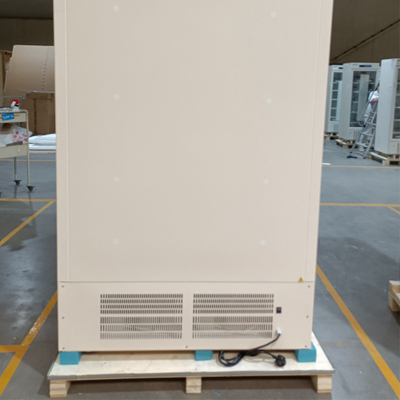 328 litros Capacidad menos 40 grados Free Standing Biomedical Freezer para el almacenamiento de vacunas