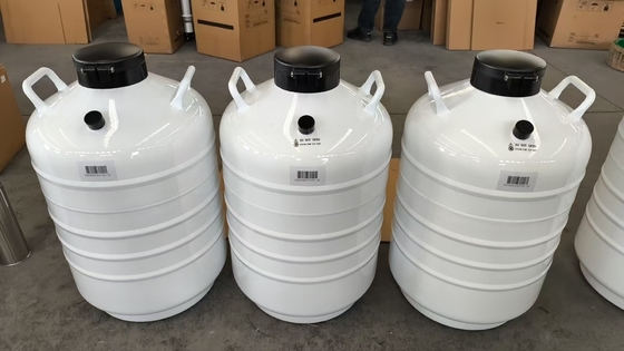 Contenedor de transporte de nitrógeno líquido para muestras de laboratorio de 35L - Vapor Phase Dry Shipper