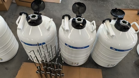 Contenedor de transporte de nitrógeno líquido para muestras de laboratorio de 35L - Vapor Phase Dry Shipper