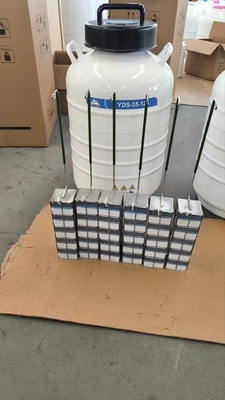 Contenedor de transporte en seco con fase de vapor de LN₂ – Ideal para logística de laboratorio y clínica