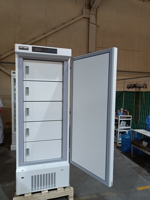 -40℃ Congelador profundo biomédico | Congelador médico vertical con capacidad de 328L y 5 puertas interiores